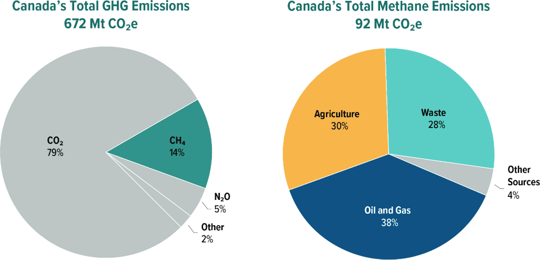 Aiming at net-zero GHG emissions by 2050: Yusen Logistics Group announces  environmental target